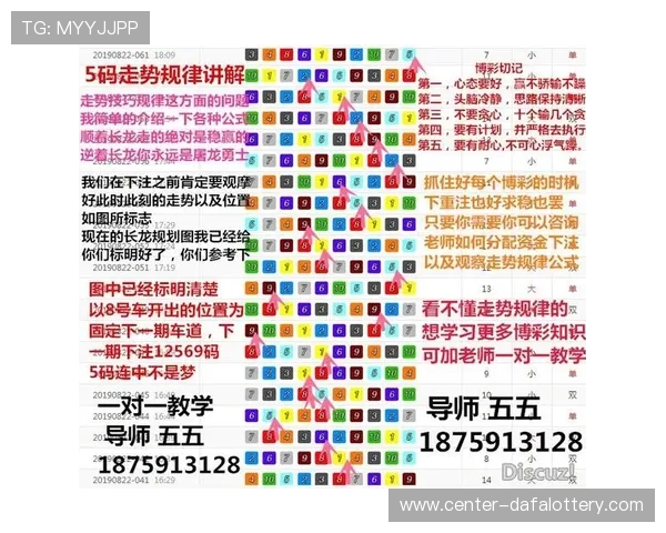 掌握官方飞艇技巧提升稳定收益与精准计划实战指南全面解析