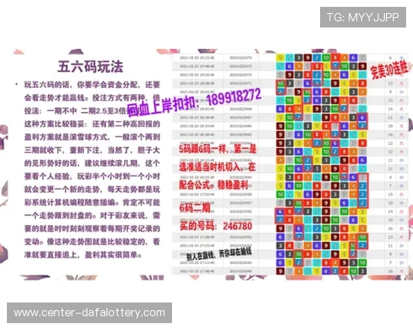 深入解析官方飞艇方法核心技巧与精准计划实战经验分享指南